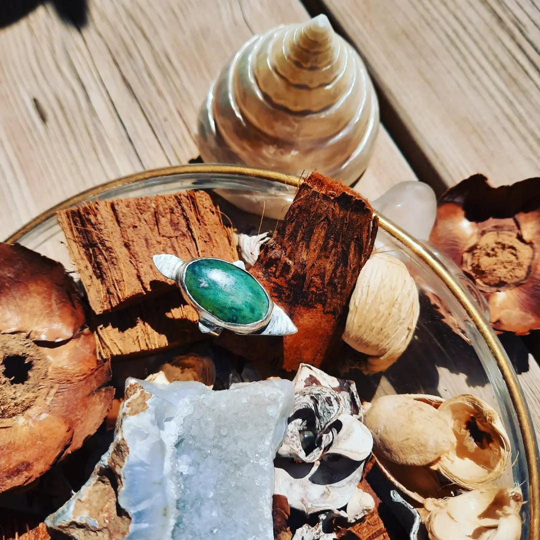 Tertle Rubizoisite One piece ring 𓆉 - Pyāra Designs