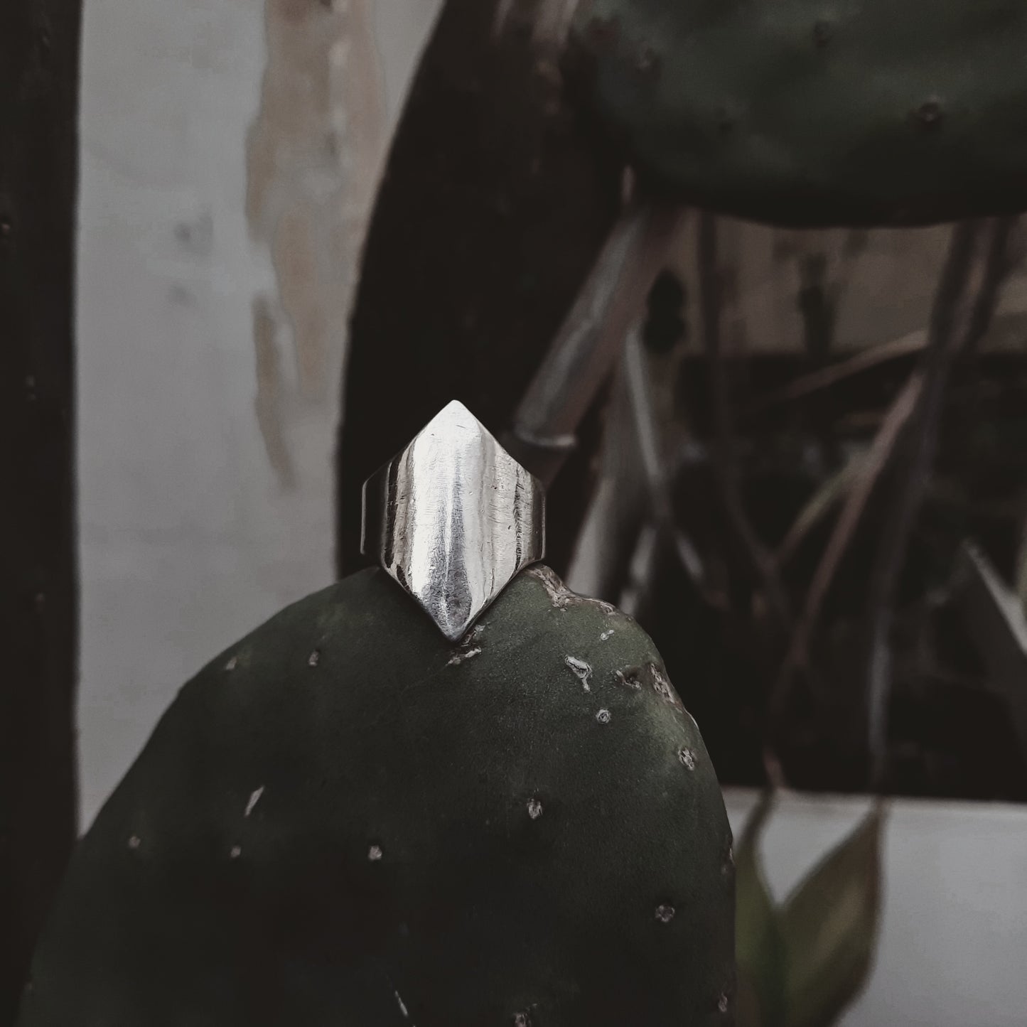 VENUS RING - Pyāra Designs